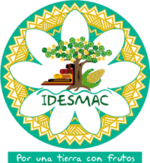 Consultorio de Emprendimientos y Responsabilidad Social